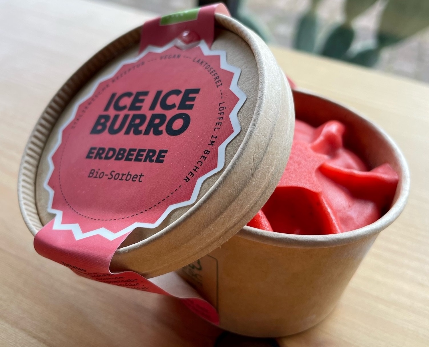 Burro Burro - Konstanz - Ice Ice Burro - alle